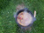 картинка Казан чугунный 8 литров круглое дно от магазина Vsekazany.com